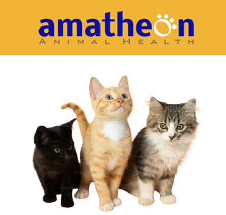 Three playful kittens sitting together and the Amatheon logo